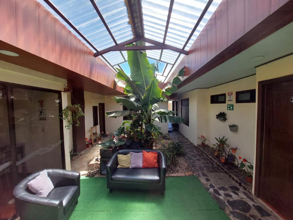 Hotel Las Ardillas モンテベルデ エクステリア 写真