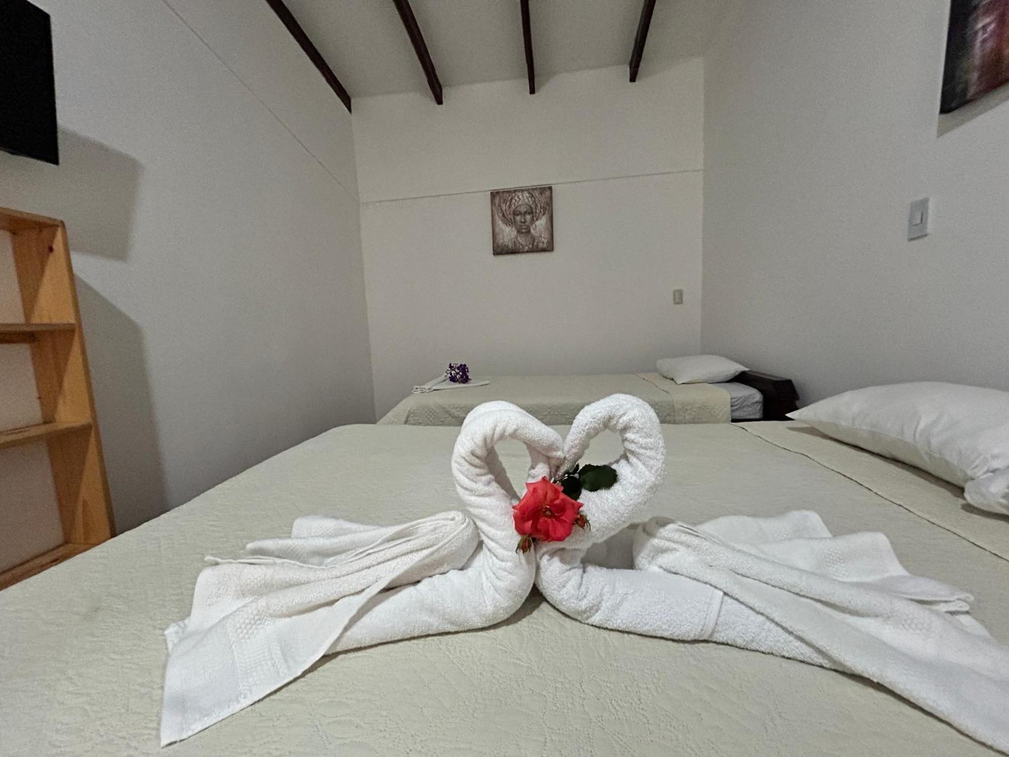 Hotel Las Ardillas モンテベルデ エクステリア 写真