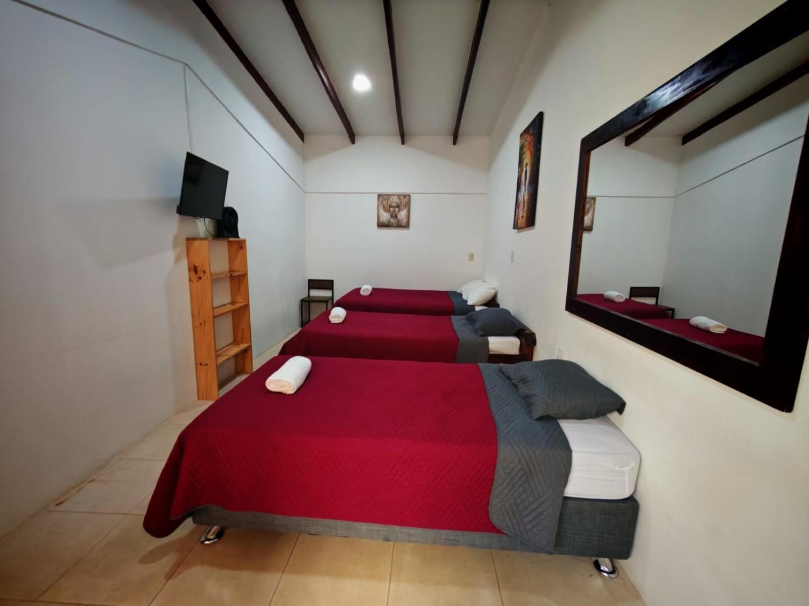 Hotel Las Ardillas モンテベルデ エクステリア 写真